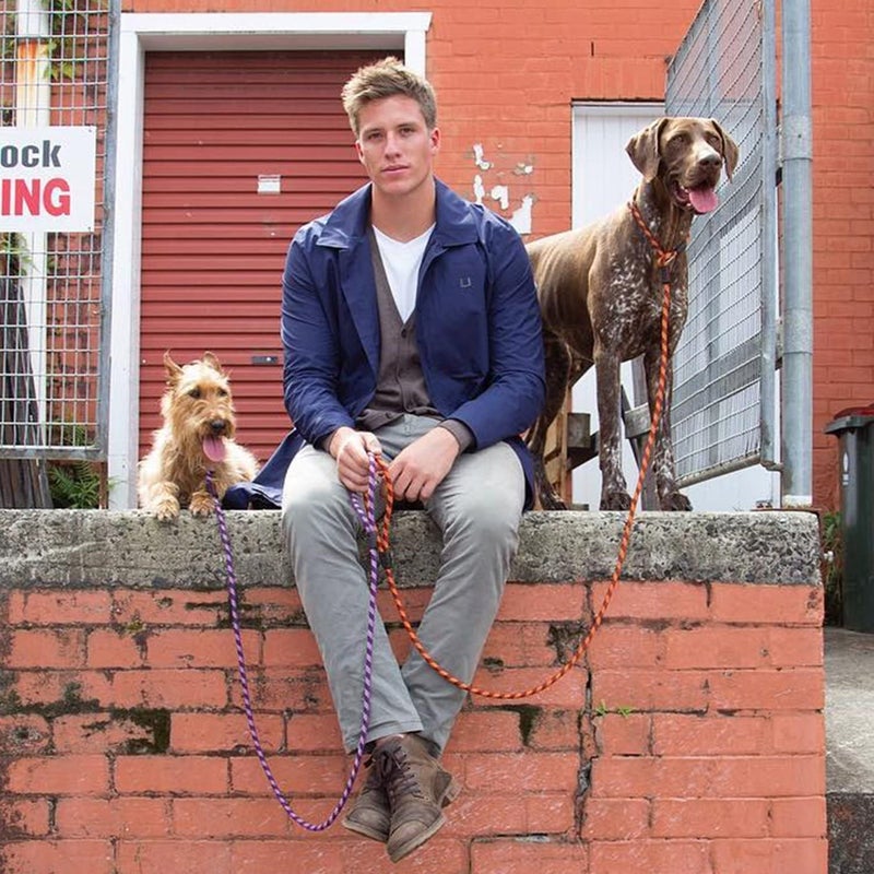 EzyDog Luca Slip Lead Dual Function Heavy Duty Rope Leash for Dogs That Pull Slip Leash & Gentle Lead Head Halter, Small (5.5ft x .23', Orange) - Image 4